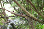 DSC_9051.JPG